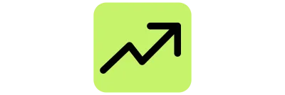 Seta